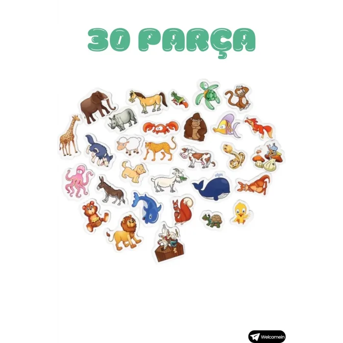  Oyuncak Manyetik Mıknatıslı 30 Parça Hayvanlar 26 Parça Sebze Meyveler Eğitici Set Magnet