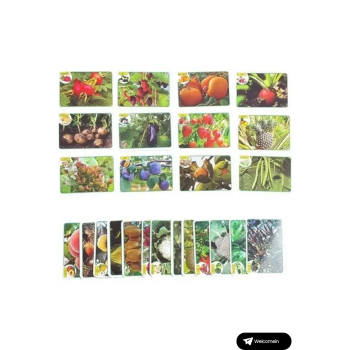  Oyuncak Minik Bebeğimin İlk 50 Hafıza Kartları ve İlk 50 Meyve Sebze Kartları Flash Kart 2li Set