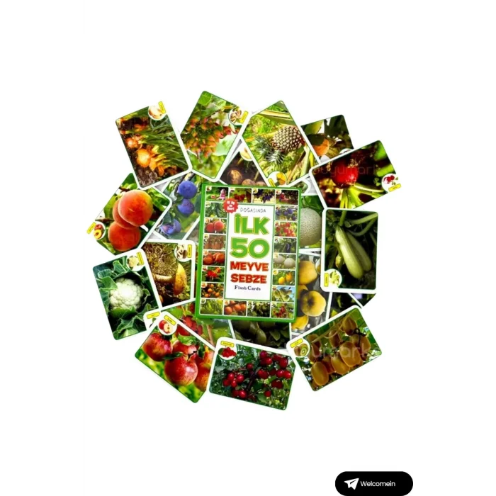 Oyuncak Minik Bebeğimin İlk 50 Hafıza Kartları ve İlk 50 Meyve Sebze Kartları Flash Kart 2li Set