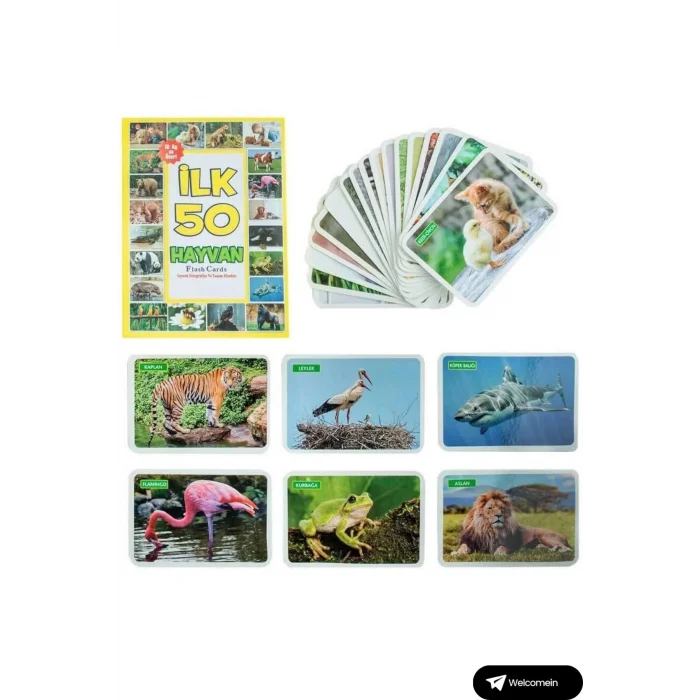  Oyuncak Minik Bebeğimin İlk 50 Sözcük Kartları ve İlk 50 Hayvanlar Kartları Flash Kart 2li Set