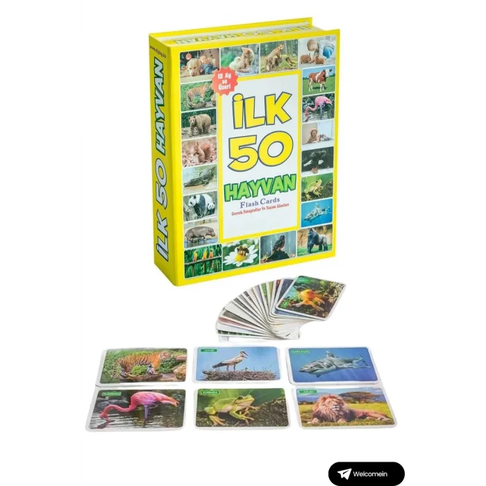  Oyuncak Minik Bebeğimin İlk 50 Sözcük Kartları ve İlk 50 Hayvanlar Kartları Flash Kart 2li Set