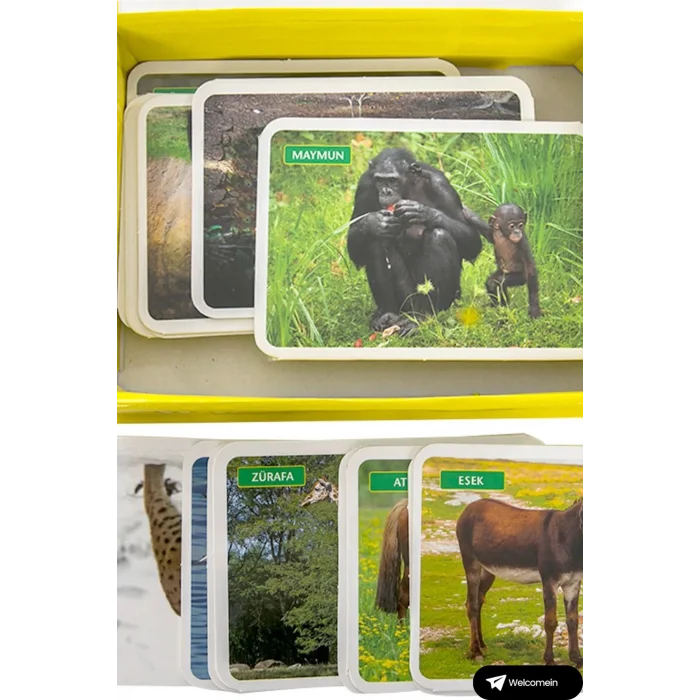  Oyuncak Minik Bebeğimin İlk 50 Sözcük Kartları ve İlk 50 Hayvanlar Kartları Flash Kart 2li Set