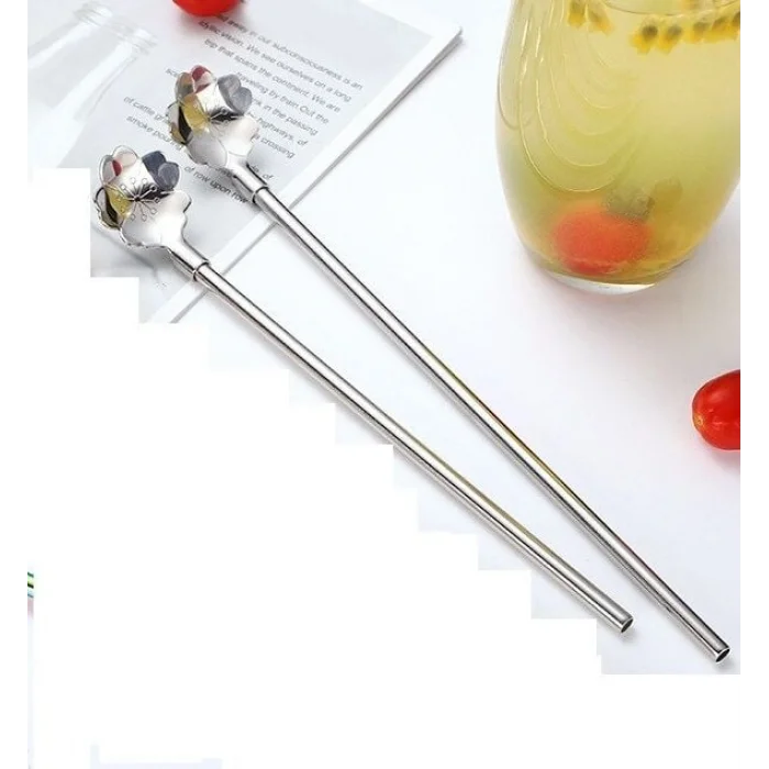 BUĞZ Paslanmaz Metal 2 li Kaşıklı Pipet Fırça Seti