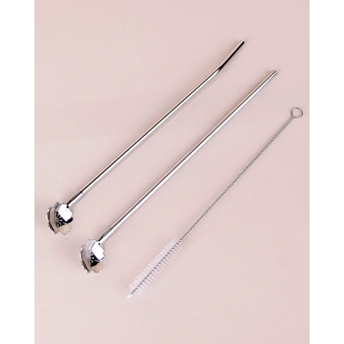 BUĞZ Paslanmaz Metal 2 li Kaşıklı Pipet Fırça Seti