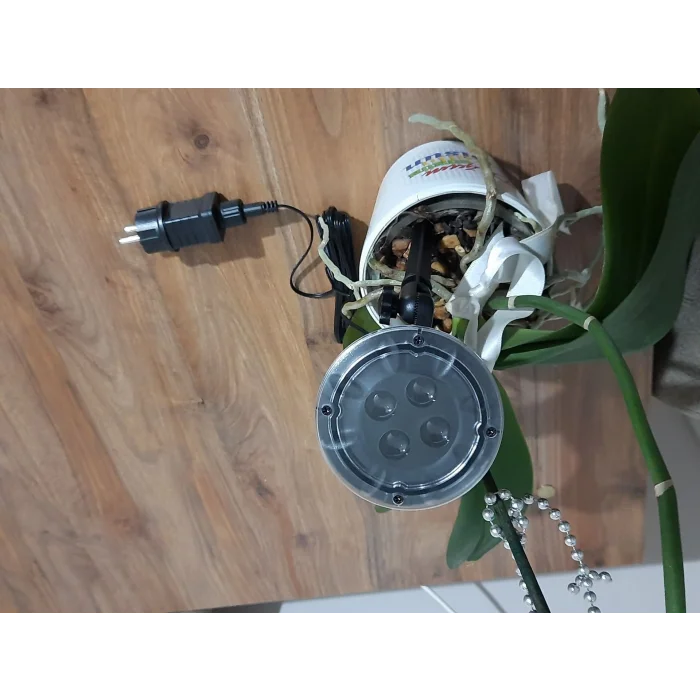 BUĞZ Peri Led Işık 5 metre BEYAZ  Dekor Lambası 50 Ledli