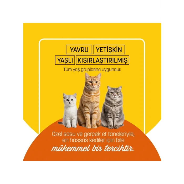 BUĞZ Petzzcats Tavuk Etli Konserve Kedi Maması 1 Adet 70 gr