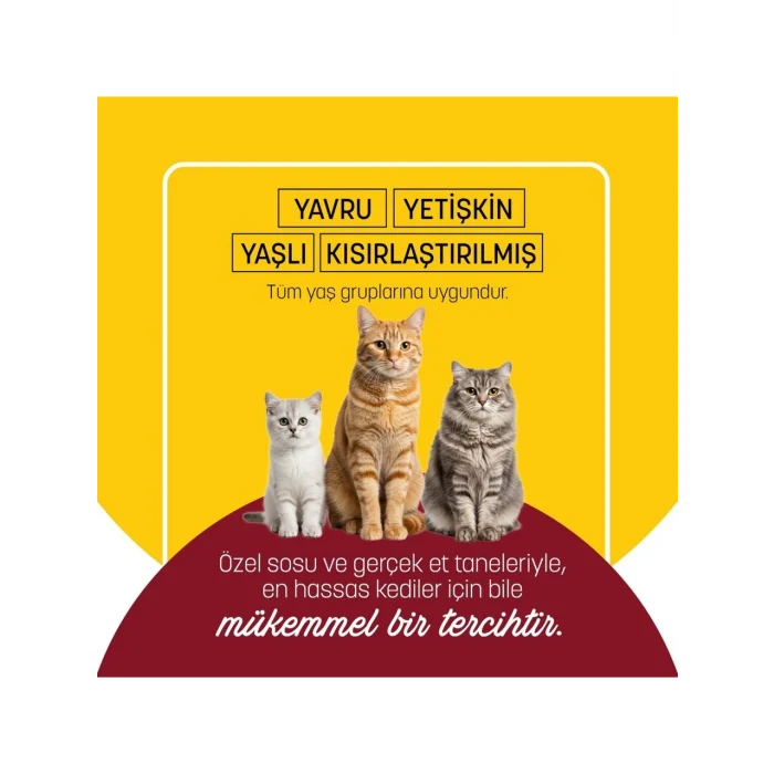 BUĞZ Petzzcats Tavuk & Kalamar Konserve Kedi Maması 1 Adet 70 gr