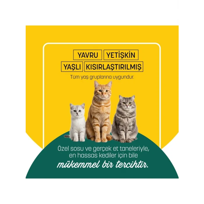 BUĞZ Petzzcats Ton Balığı & Kalamar Konserve Kedi Maması 1 Adet 70 gr