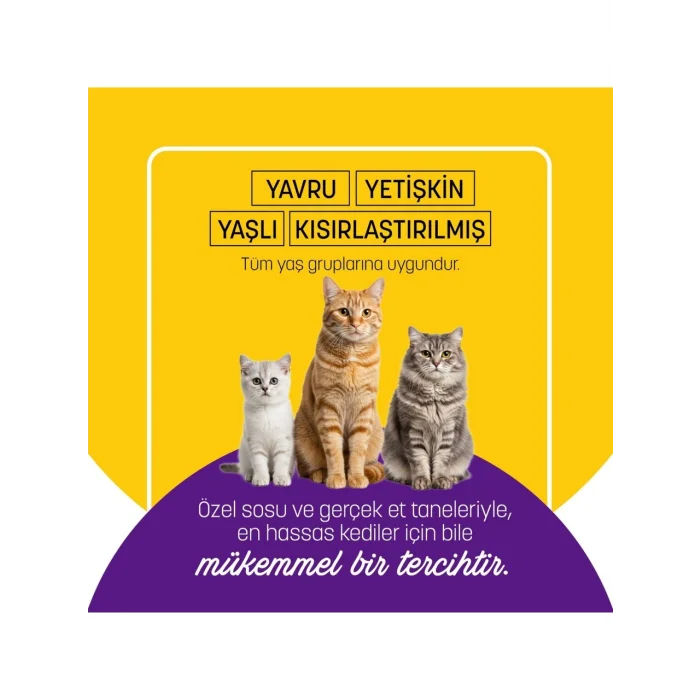 BUĞZ Petzzcats Ton Balığı & Midye Konserve Kedi Maması 1 Adet 70 gr
