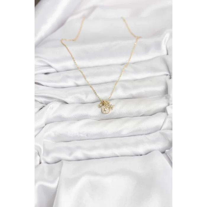 BUĞZ Pirinç Gold Renk Minimal Charmlı Kadın Kolye - Lisinya