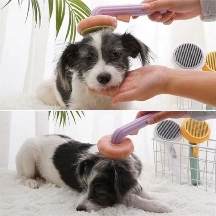  Plastik Yeşil Evcil Hayvan Bakım  Pet Fırçası Çok Amaçlı Pet Fırçası Yeşil