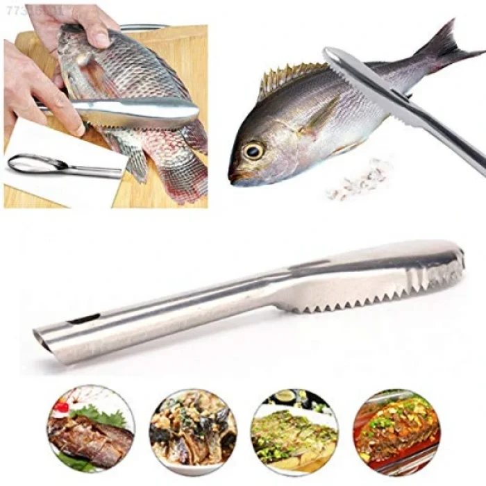 BUĞZ Pratik Balık Pulu Kazıyıcı Aparat