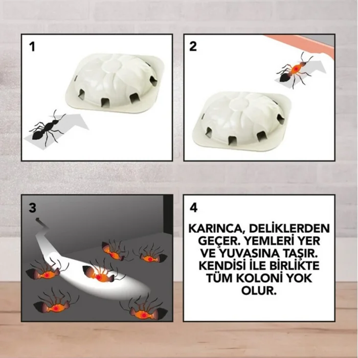 BUĞZ Raid 2 Parça  Karınca Yemi Bx40