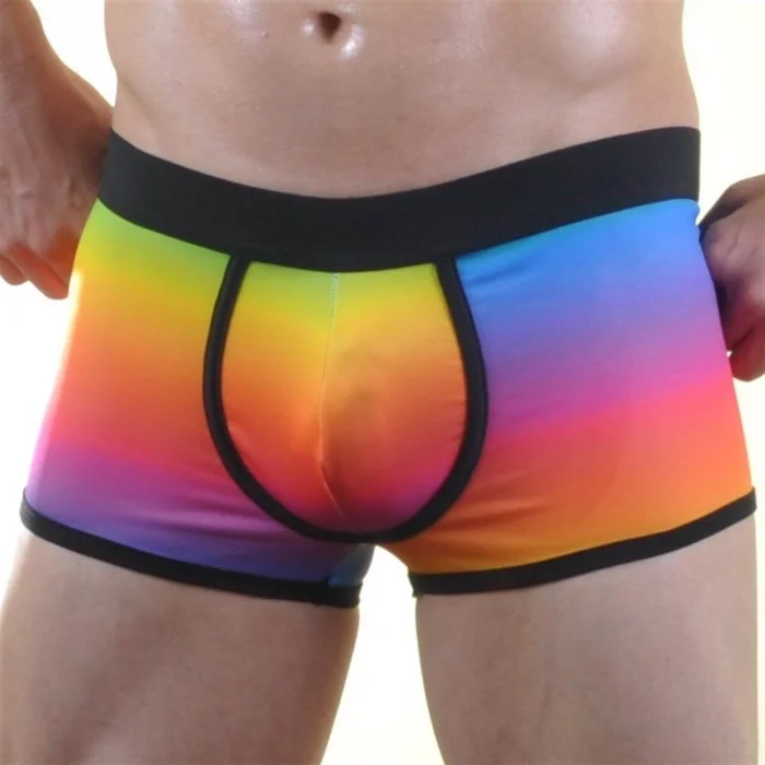 BUĞZ Renkli Erkek Boxer