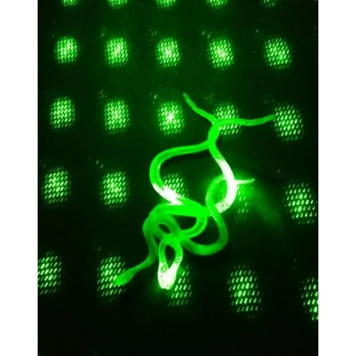 BUĞZ Şaka Yılan ve Kırkayak Karışık 36 Adet