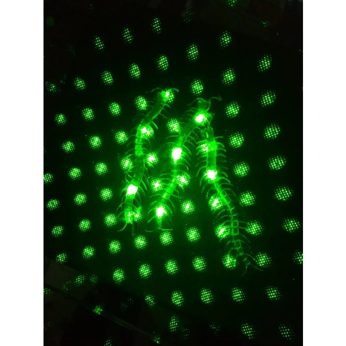 BUĞZ Şaka Yılan ve Kırkayak Karışık 36 Adet