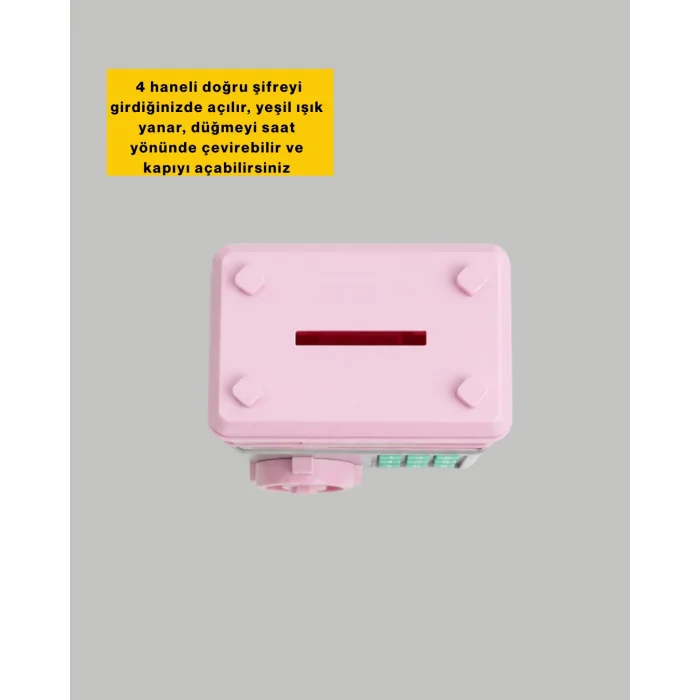 BUĞZ SAM53 NUMBER BANK PEMBE - BUĞZ