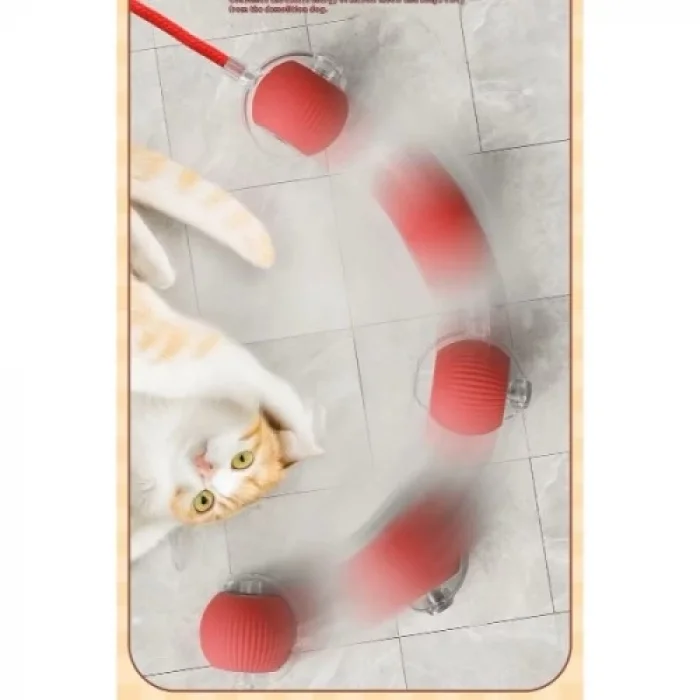 BUĞZ Şarjlı Kedi Oyuncağı