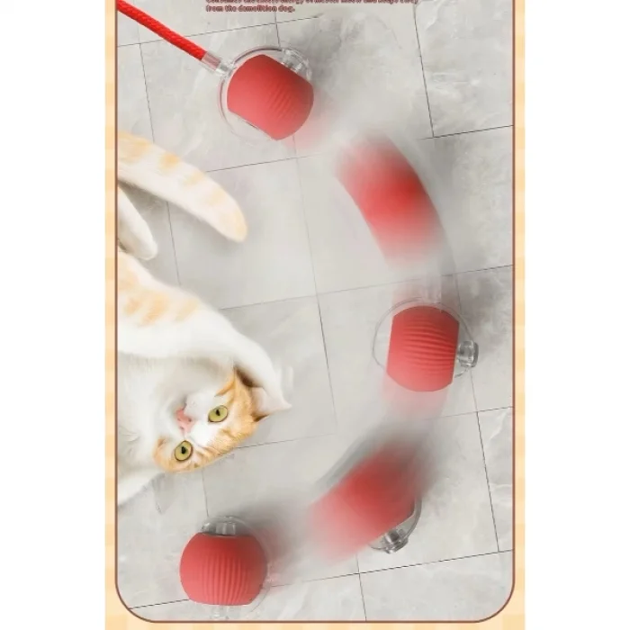 BUĞZ Şarjlı Kedi Oyuncağı