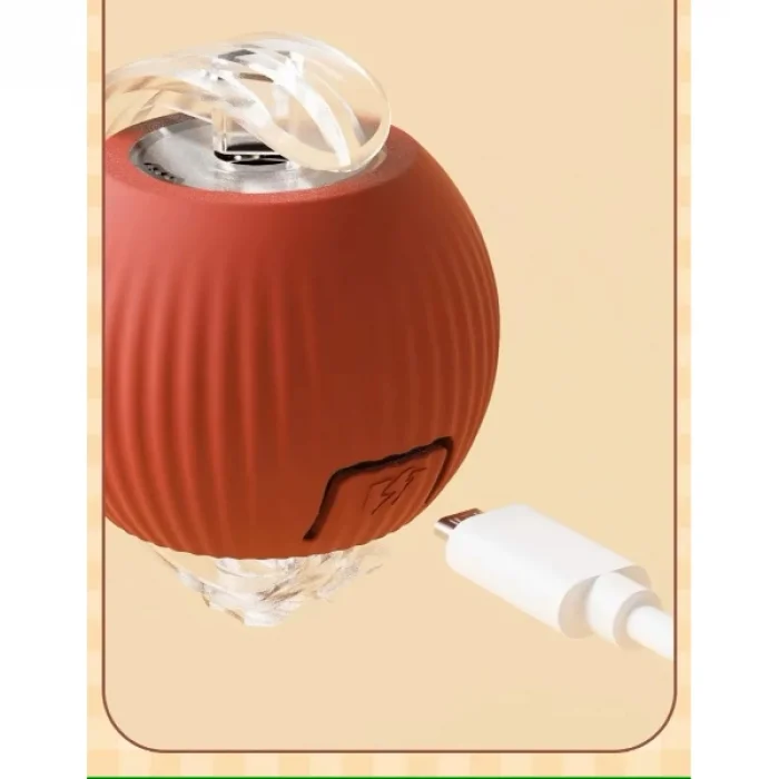 BUĞZ Şarjlı Kedi Oyuncağı