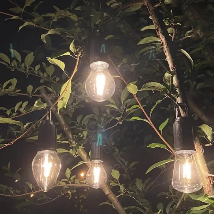 BUĞZ Şarjlı Portatif Ampül