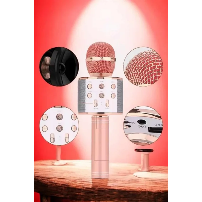 BUĞZ Şarjlı ve Uzun Pil Ömürlü Karaoke Mikrofon USB Bellek Destekli, Profesyonel Ses - Lisinya