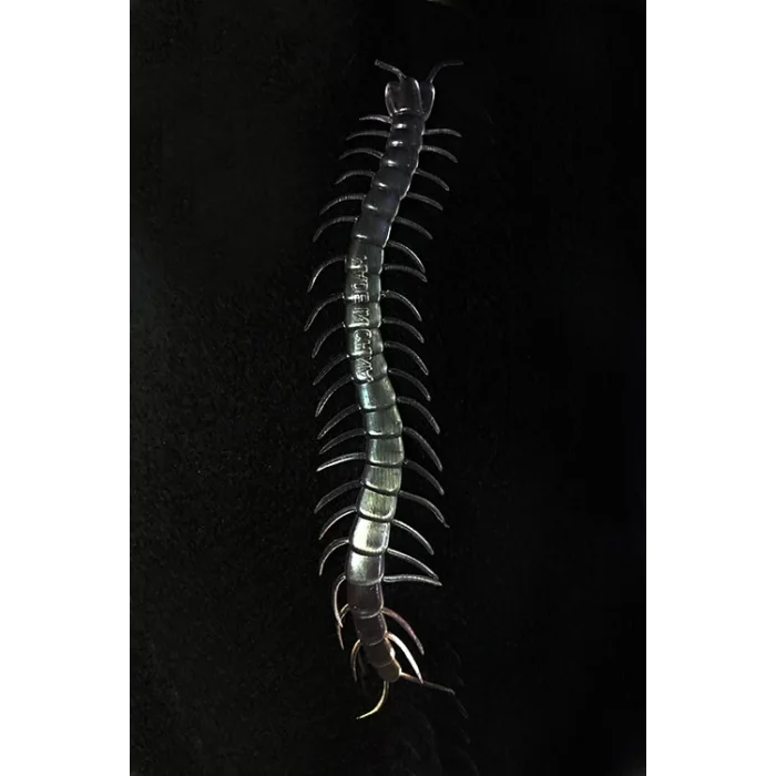 BUĞZ Şeffaf Renk Karanlıkta Parlayan Fosforlu Kırkayak 13 Cm 1 Adet - BUĞZ