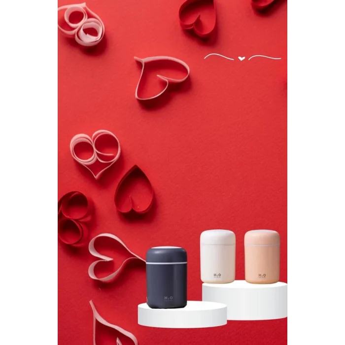 BUĞZ Sevgiliye Hediye Led Işıklı Hava Nemlendirici USB Şarjlı Sevgiliye Özel - Lisinya