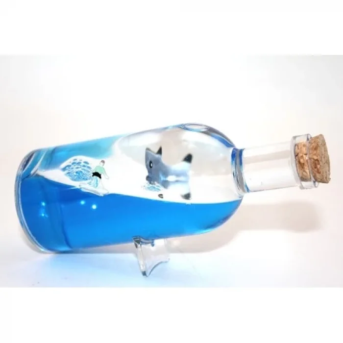 Şişe İçinde Batmayan Gemi Model 2