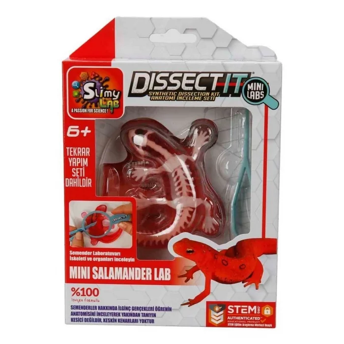 BUĞZ Slimy Dissect it Mini Labaratuvar