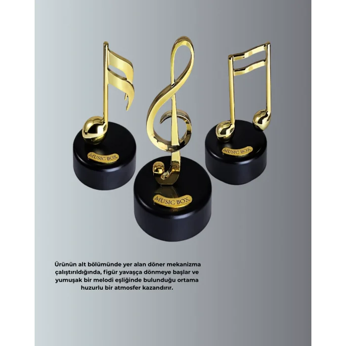 BUĞZ SOL ANAHTARI MÜZİK KUTUSU - Lisinya