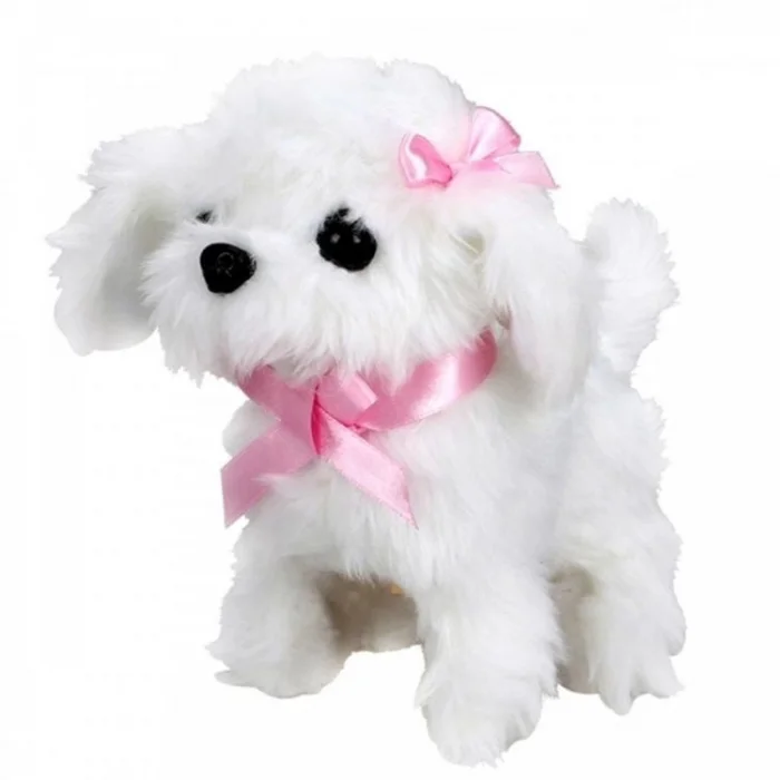  Sunman Sevimli Köpek Maltese