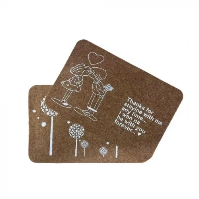  Süper Emici Kapı Paspası