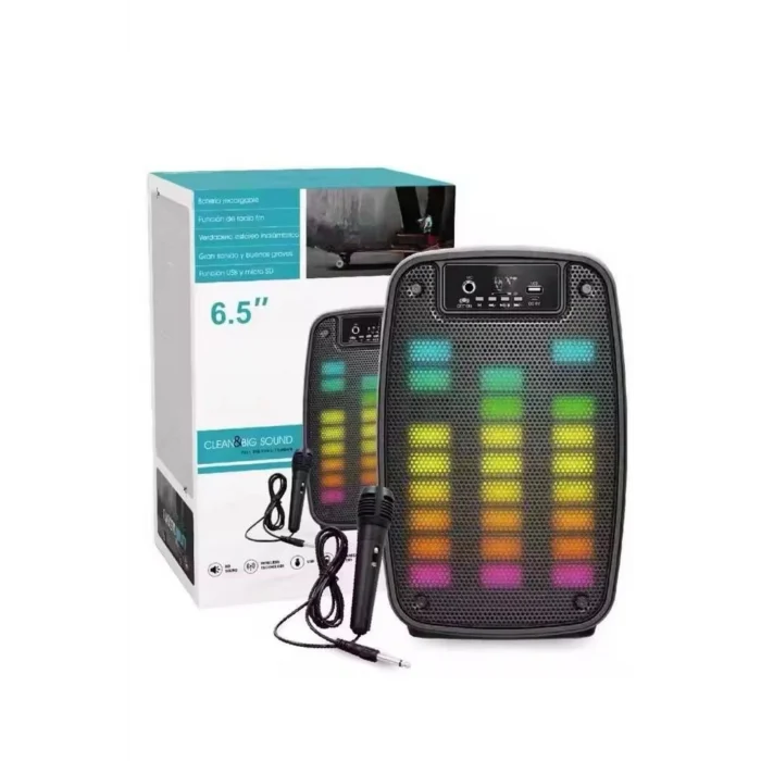 BUĞZ Taşınabilir 6.5 inç LED Bluetooth Kareoke Hoparlör RGB Işıklı Radyolu