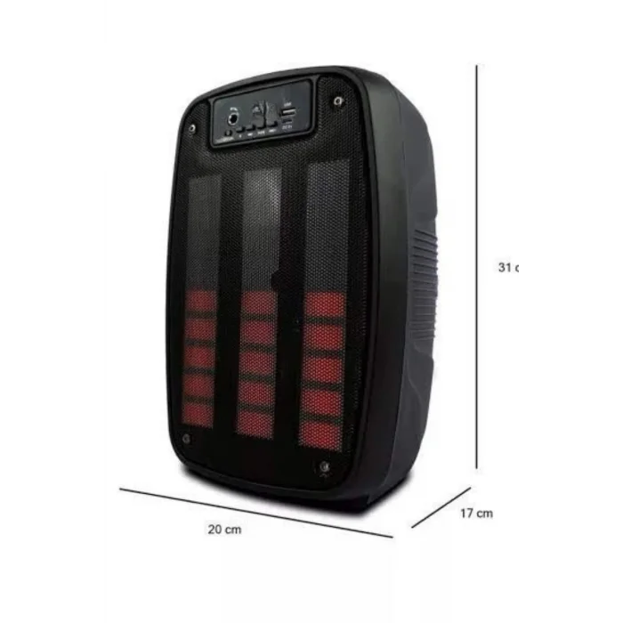 BUĞZ Taşınabilir 6.5 inç LED Bluetooth Kareoke Hoparlör RGB Işıklı Radyolu
