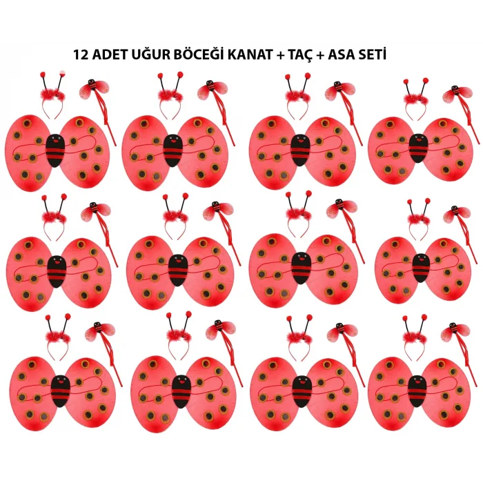 BUĞZ Uğur Böceği Kostüm Seti - Kanat, Taç, Asa 12 Adet