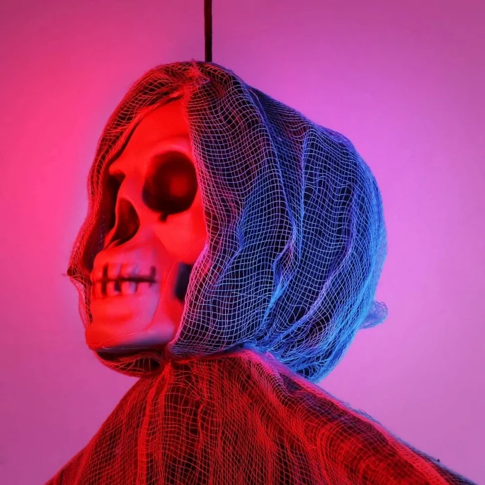 BUĞZ Ürpertici Kuru Kafa Korku Hayalet Saçaklı Dekor 90x50 Cm