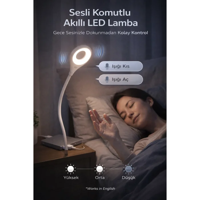 BUĞZ USB Girişli Sesli Komut Özellikli Akıllı LED Lamba Esnek Bükülebilir Masa ve Gece Lambası