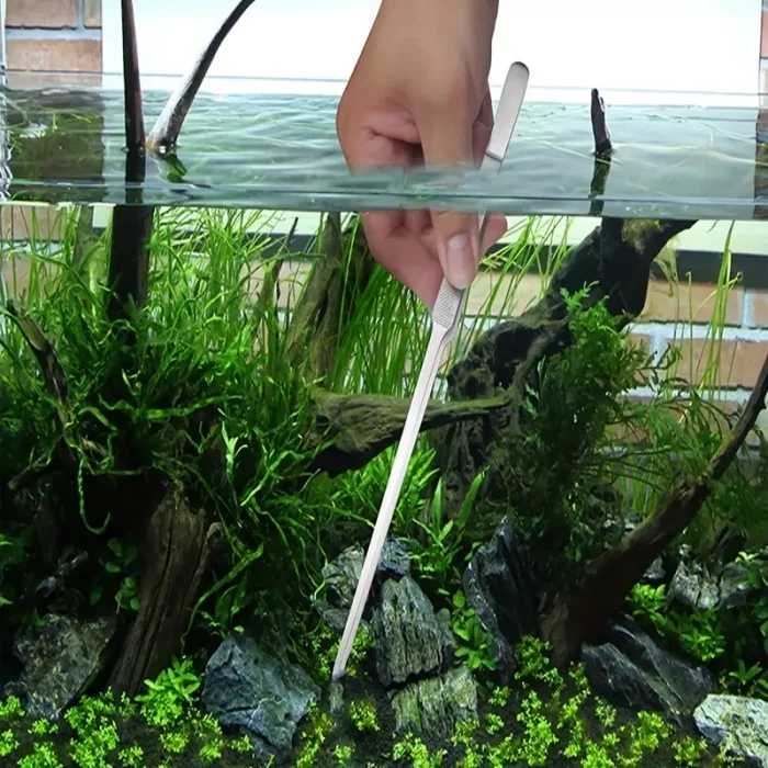 BUĞZ Uzun 30 cm Çelik Cımbız - Akvaryum Maşası