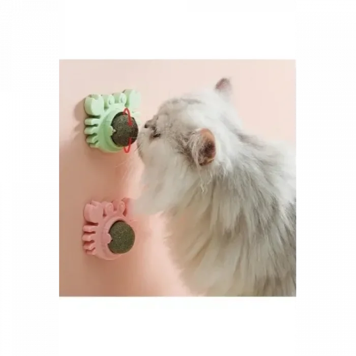 BUĞZ Yengeç Kedi Otu Oyun Topu