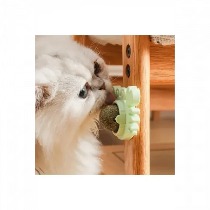 BUĞZ Yengeç Kedi Otu Oyun Topu