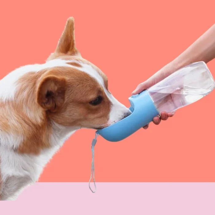 BUĞZ Yumurcak Shop® 450 ml Taşınabilir Butonlu Evcil Hayvan Suluğu