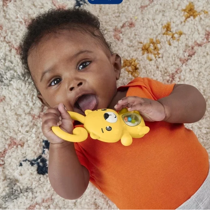 Fisher Price Eğlenceli Dostlar Çıngıraklı Dişlik HJW11-HKD71