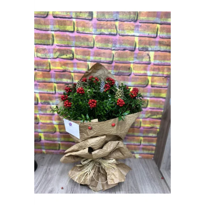 Genel Ürün (Yılbaşı Şans Çiçeği )