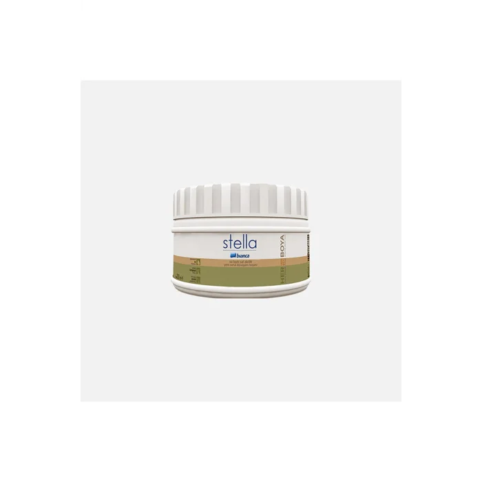 Genel Ürün Sıvı Cam Su Bazlı İpek Mat 0,50L