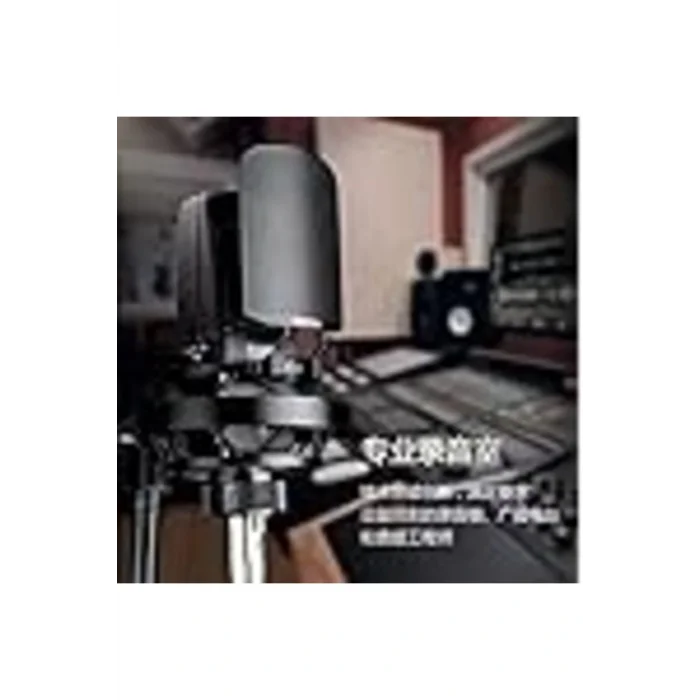 Genel Ürün Tak35 Profesyonel Kondenser Kayıt Mikrofonu