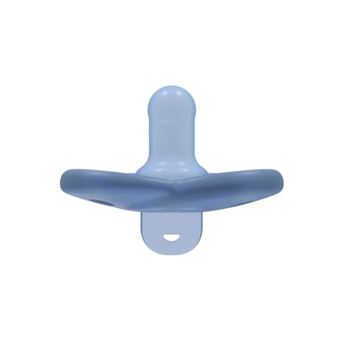 AGLpazarlama Avent Soothie Ortodontik Saklama Kutulu 2li Emzik 0-6 Ay Erkek