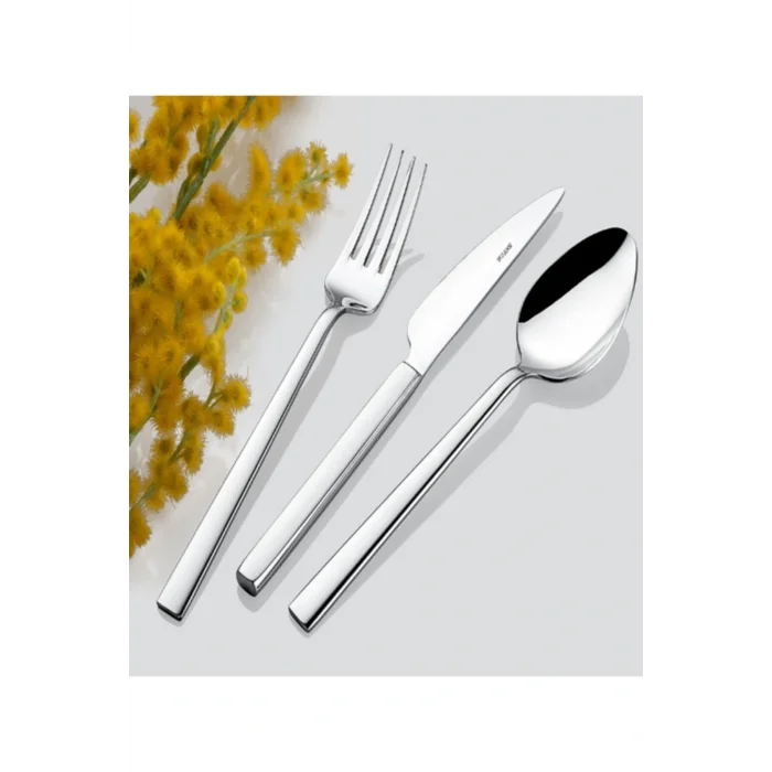 Genel Ürün Çelik Nil Pasta - Tatlı Kaşığı 12 Li