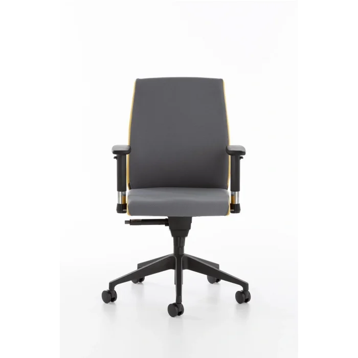 Genel Ürün Havana Çalışma Koltuğu, Orta Sırt, Plastik Ayak, Antrasit & Sarı