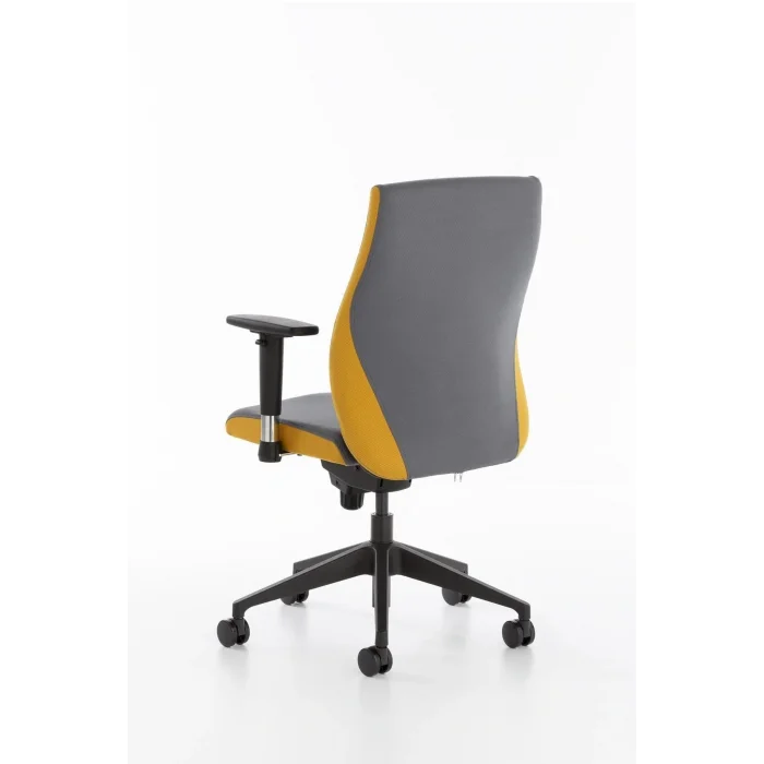 Genel Ürün Havana Çalışma Koltuğu, Orta Sırt, Plastik Ayak, Antrasit & Sarı